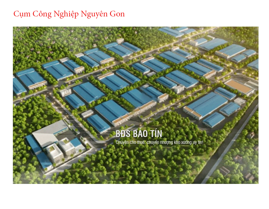 Bứt Phá Cùng Nguyên Gon: Kết Nối Đầu Tư, Phát Triển Bền Vững