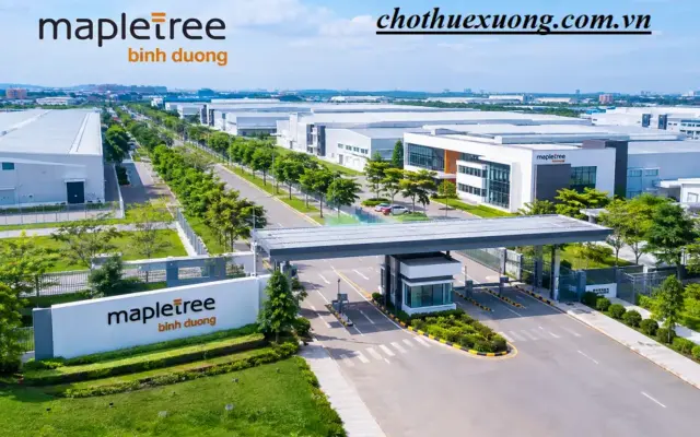 Tìm hiểu về khu chế xuất Mapletree tỉnh bình dương