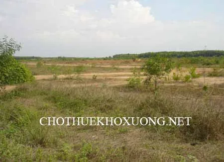 Cho thuê mặt bằng đất tại Cẩm Giàng, Hải Dương