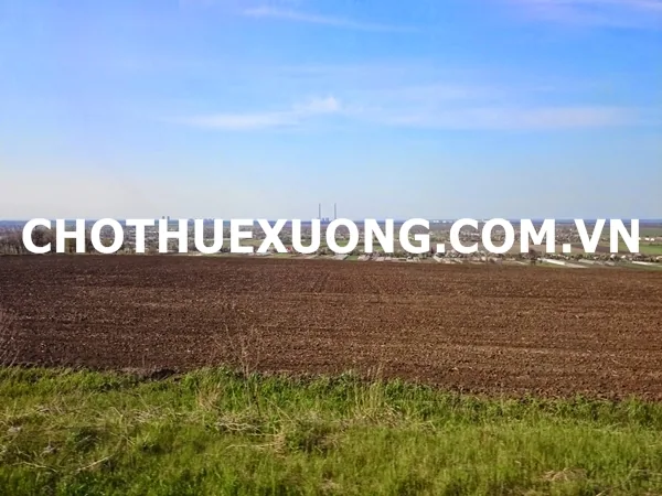 Cho thuê đất trống tại Hà Nội, cụm CN Thanh Oai 5000m2 đến 20000m2