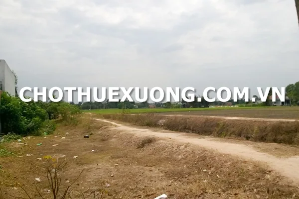Cho thuê đất trống mặt QL21A Hòa Lạc Hà Nội 6030m2 có thể thuê từng phần