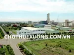 Bán đất công nghiệp Nam Cầu Kiền Hải Phòng gần cảng và QL