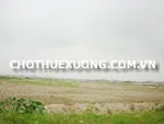 Cho thuê bãi đất trống tại Hà Nội Long Biên 4000m2 làm bãi, làm kho, xây nhà xưởng sx