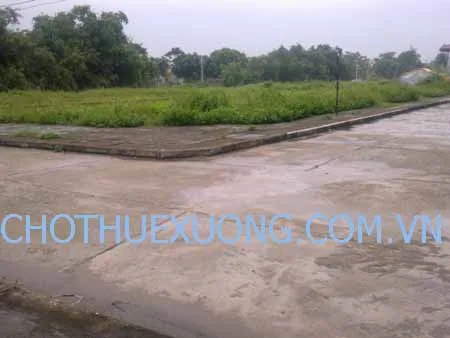 Cho thuê đất công nghiệp Cẩm Giàng, Hải Dương