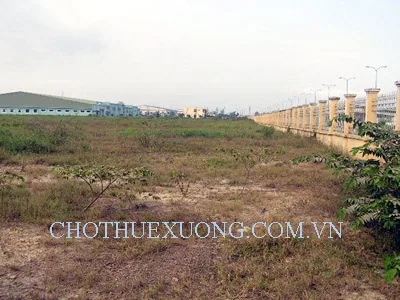 Cho thuê  đất khu công nghiệp Tân Trường, Hải Dương