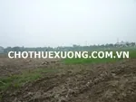 Cho thuê bãi đất trống 5080m2 tại Hà Nội khu CN Nguyên Khê Đông Anh
