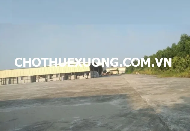 Cho thuê mặt bằng và kho xưởng tại thị xã Phú Thọ DT 3005m2 giá tốt
