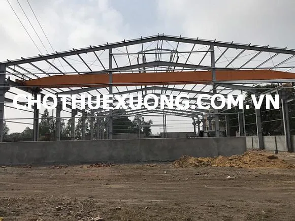 Tôi có nhà xưởng cho thuê tại xã Hoàng Lâu, Tam Dương, Vĩnh Phúc DT 1510m2