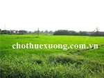 Bán/chuyển nhượng đất trang trại Hòa Bình 35ha giá rẻ