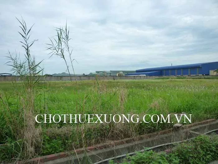 Cho thuê 1000m2 đất gần đường Vành Đai 3, Hoàng Mai, Hà Nội